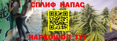 прущие крисы Краснодар