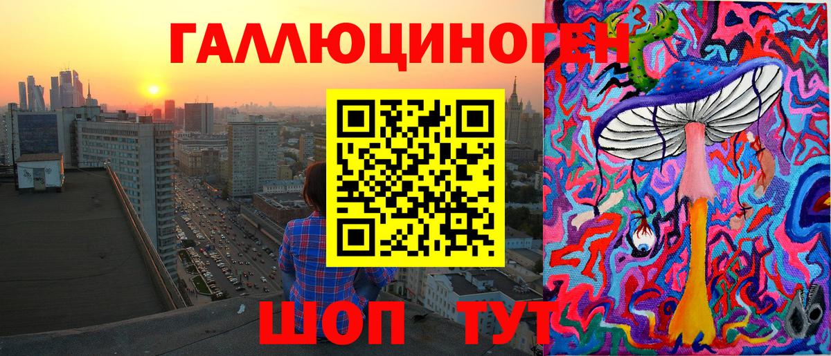 Псилоцибиновые грибы Psilocybe Великий Устюг