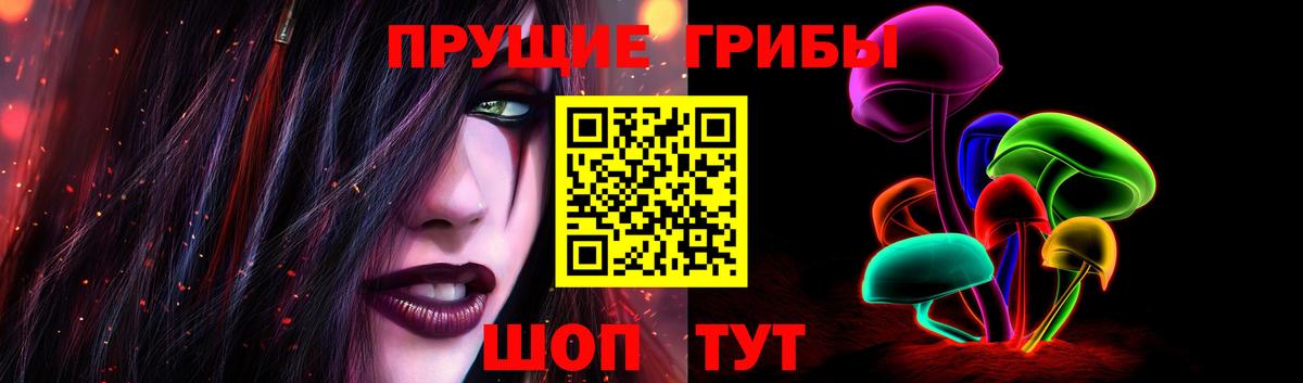 Галлюциногенные грибы Cubensis  Вход с VPN  Великий Устюг 